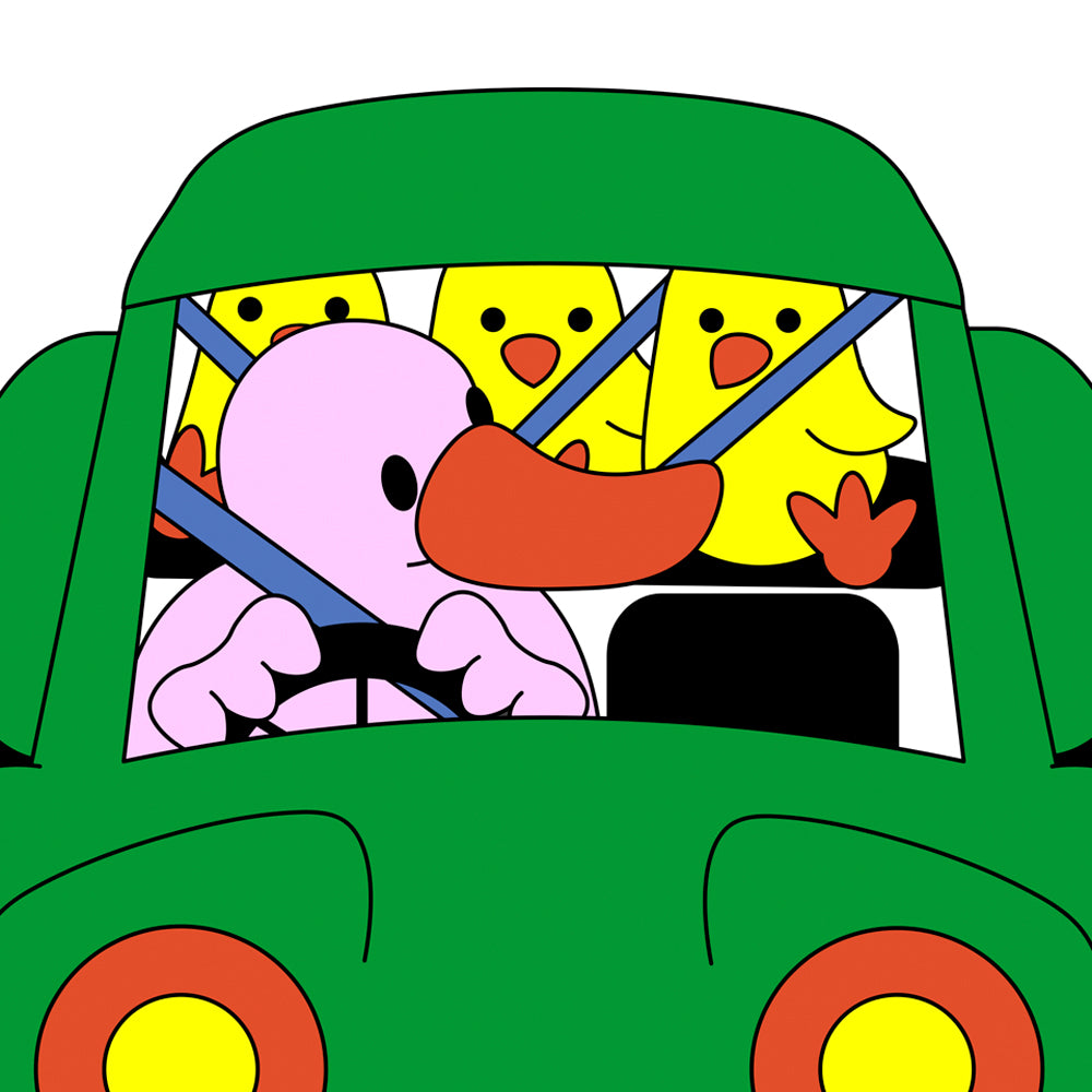 Seat belt/안전벨트
