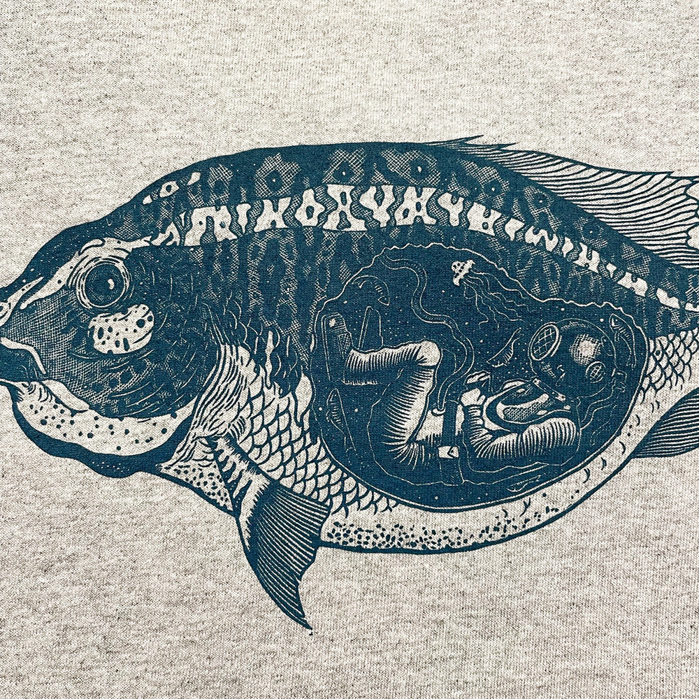 Sea Life/바다속 삶 