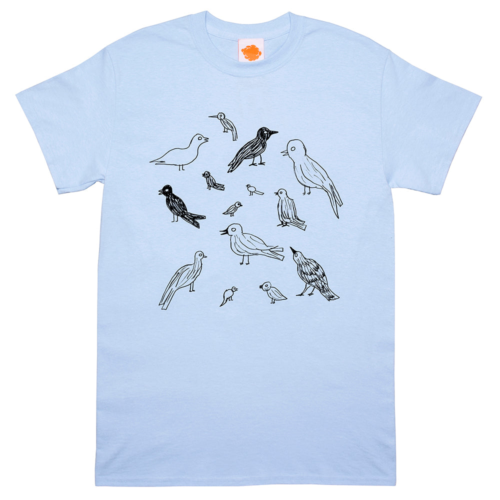 Birds