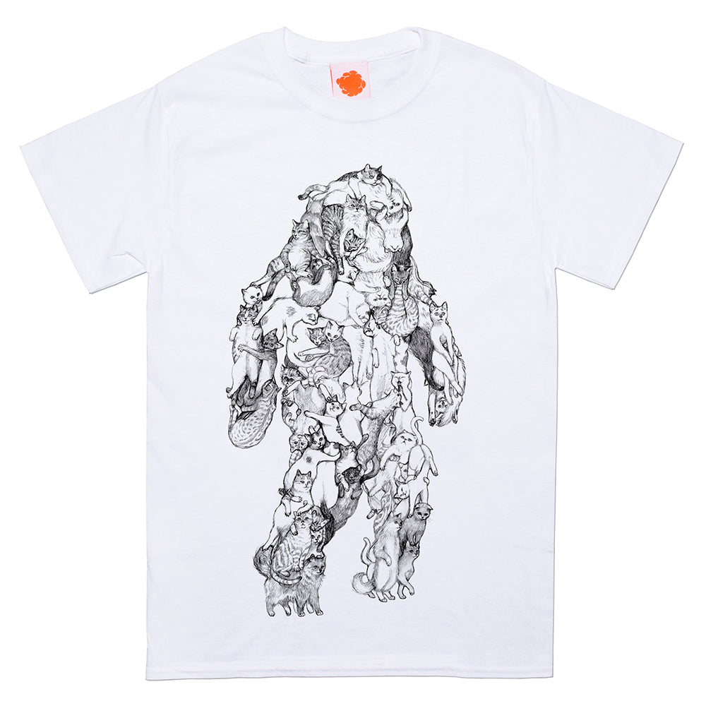 Catsquatch