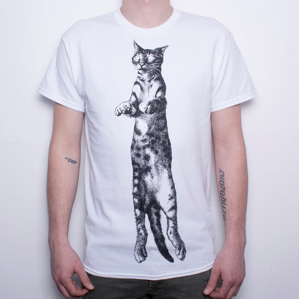 Feline