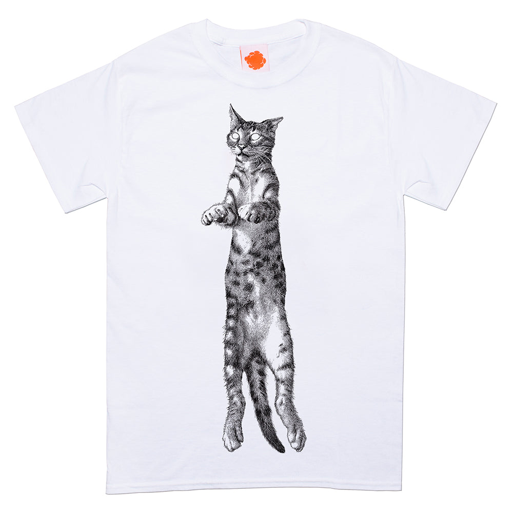 Feline