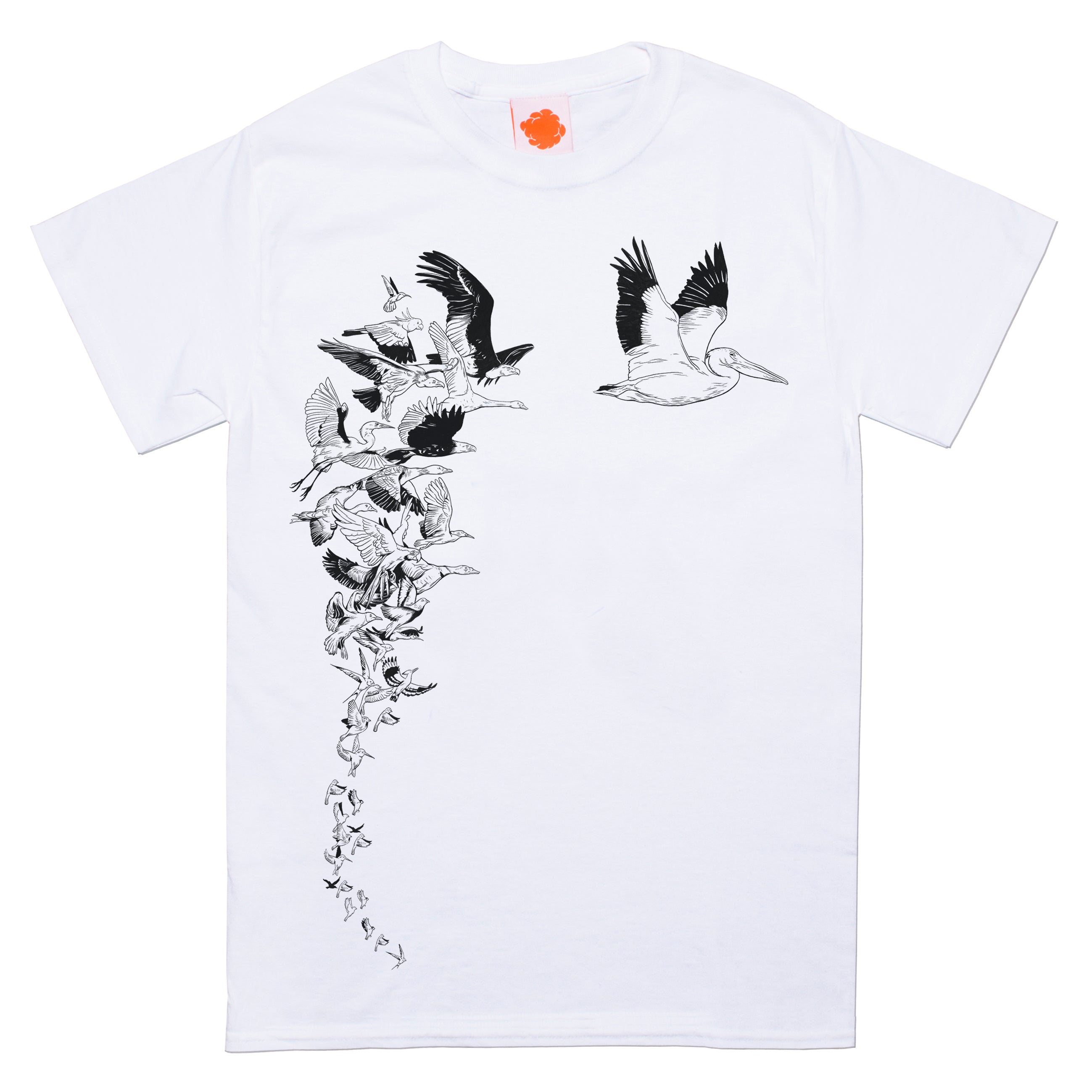 Flock