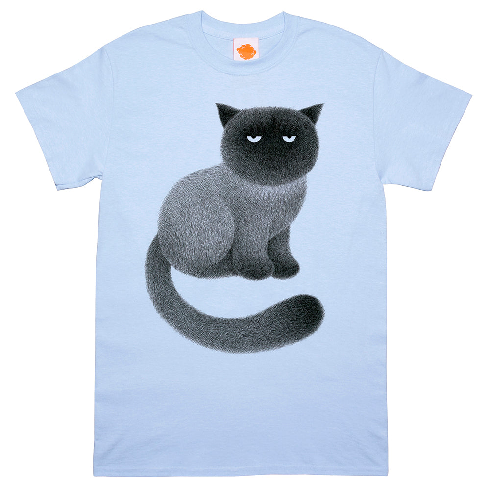 Kitty no.35