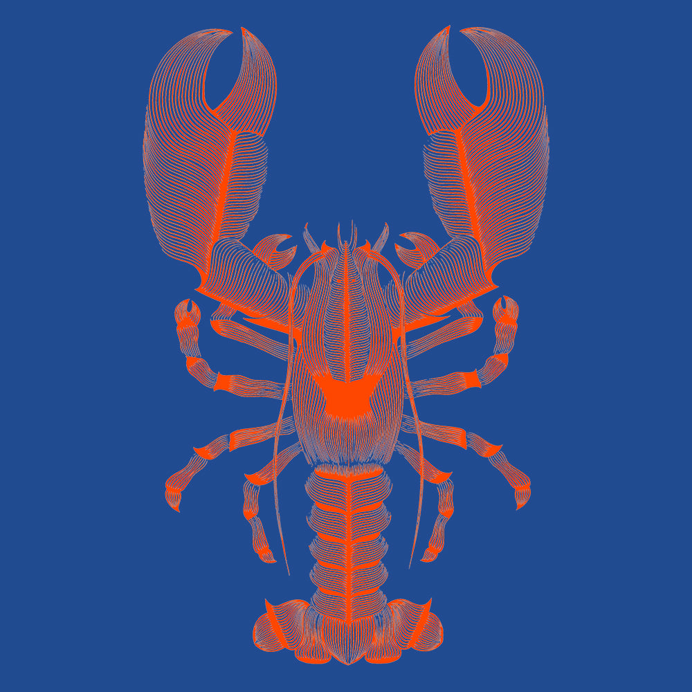 Lobster (Blue)/바닷가재 (파란색)