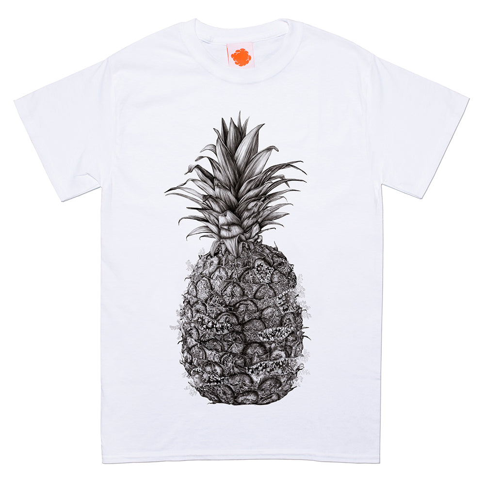 Pineapple/파인애플