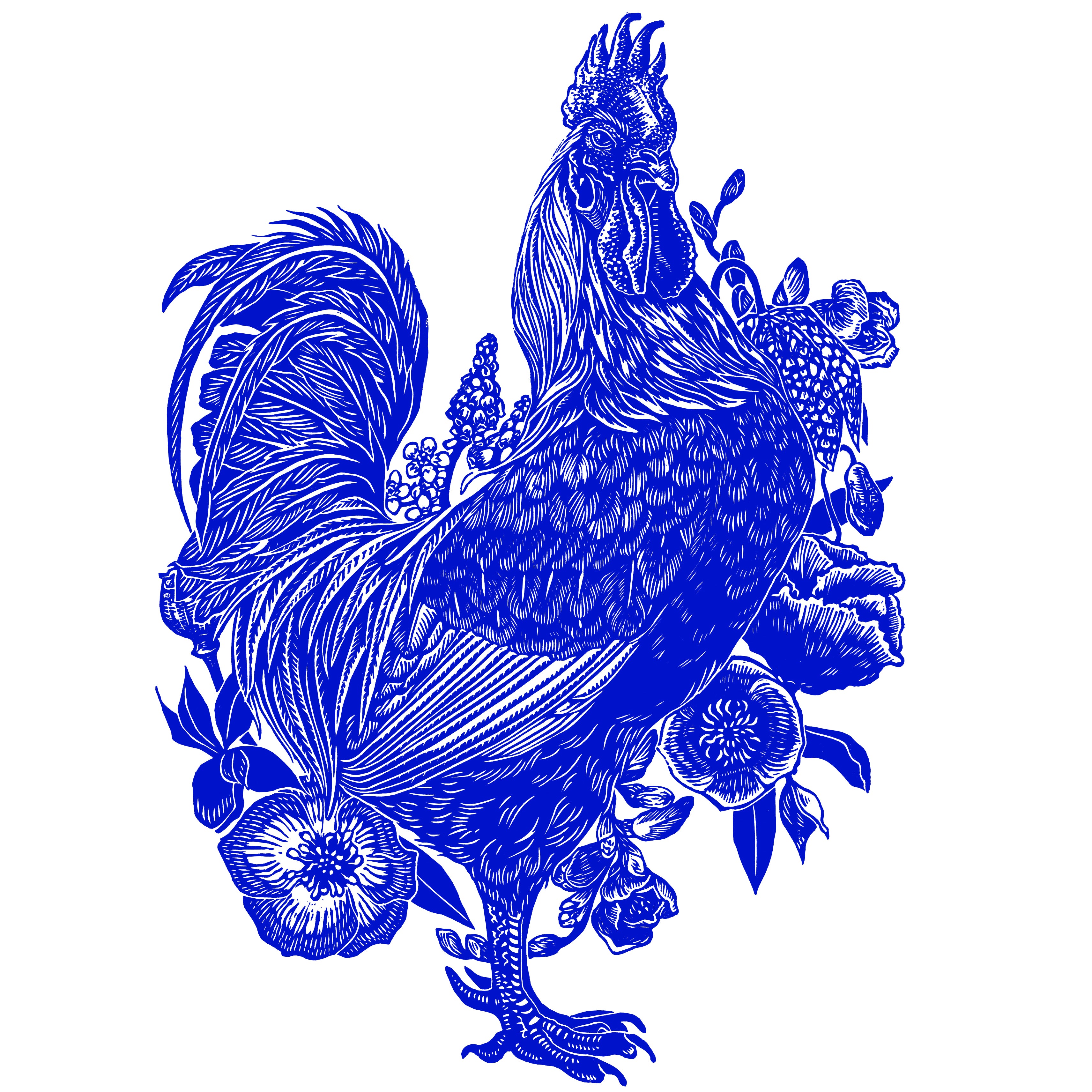 Rooster