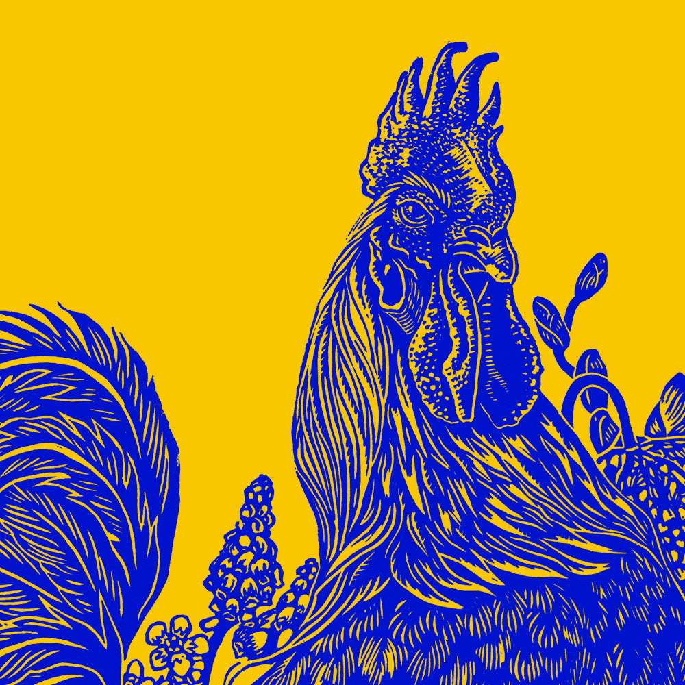 Rooster