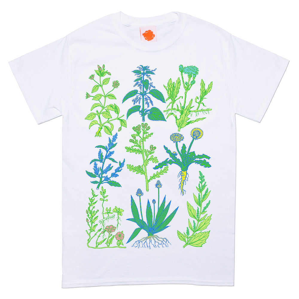 Weeds