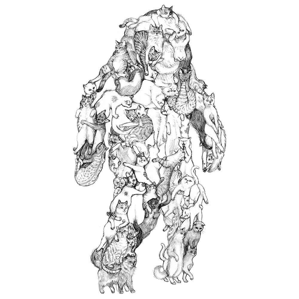 Catsquatch