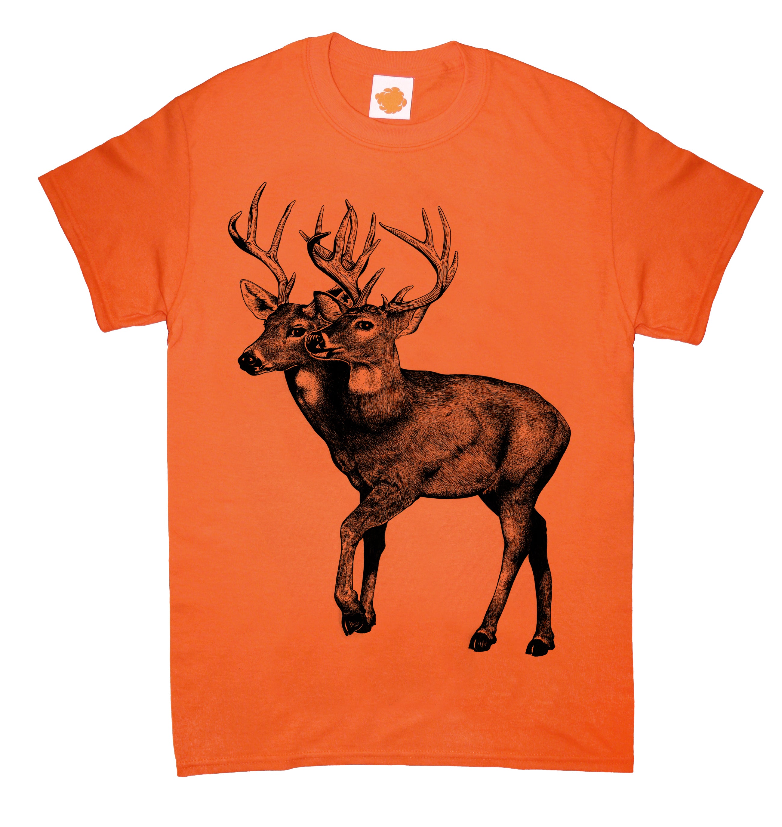 Deer oh Deer