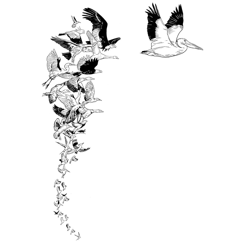 Flock